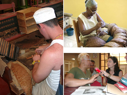 Cet homme est considéré comme un excellent rouleur de cigares (à g.). Ouvrière qui trie les feuilles de tabac selon le sens des nervures haut dr.). Gisèle, lectrice depuis 15 ans (bas dr.). 		(Photo : Habanos SA)