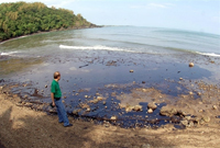 L'île de Guimaras a été déclarée zone sinistrée. 

		(Photo : AFP)