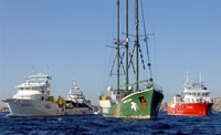 Une vingtaine de bateaux ont empêché le navire de Greenpeace (en vert) d'accoster dans le Vieux-Port de Marseille. 

		(Photo : AFP)