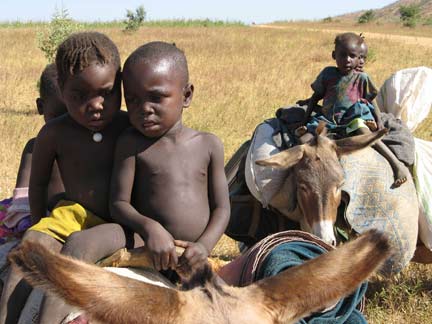 Des déplacés au Tchad (Photo : Sonia Rolley/ RFI)