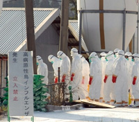 12 000 poulets ont été incinérés dans une ferme de la préfecture de Miyazaki, suite à la découverte du virus H5N1. 

		(Photo : AFP)