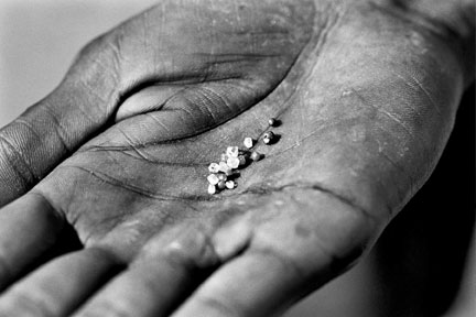 Diamants récemment découverts par des mineurs de la région de Kono. Les diamants de Sierra Leone sont d’une qualité uniformément élevée ; le carat du minerai brut possède une valeur moyenne plus élevée que celle de presque tous les autres pays producteurs dans le monde. &#13;&#10;&#13;&#10;&#9;&#9;(Photo : Sylvain Savolainen)