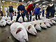 Pièces congelées de thon sur un marché japonais. 

		(Photo: AFP)