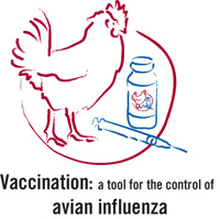 Une conférence internationale sur la grippe aviaire se tiendra du 20 au 22 mars 2007, à Vérone en Italie, à l'initiative de l'OIE, la FAO et de l'institut de zooprophylaxie expérimentale italien de Venise. 

		(Photo : DR)