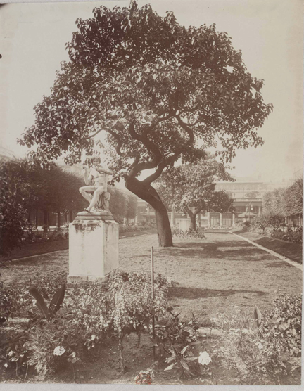 Jardin du Palais royal, 1904 - 1905. &#13;&#10;&#13;&#10;&#9;&#9;(Photo : BNF)