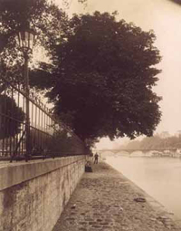 Square du Vert-Galant, île de la Cité, 1911. 

		(Photo : BNF)