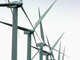 Des politiques d’incitation ont été mises en place ces dernières années, mais l’éolien reste cher. 

		(Photo : AFP)