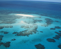 Les massifs coralliens, ici la Grande Barrière en Australie, sont menacés par le réchauffement des eaux, à l'origine du blanchiment et de la mort du corail. 

		(Source : Unesco / WHC)