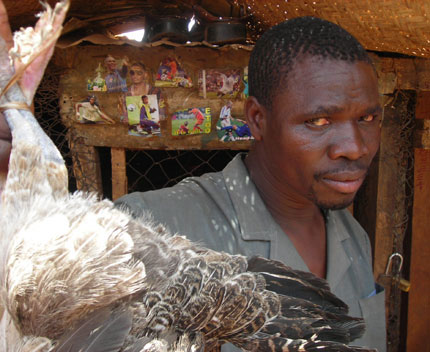 Nouveau Kaboré, vendeur de poulets, nous présente une de ses plus belles pièces. &#13;&#10;&#13;&#10;&#9;&#9;(photo:Vladimir Cagnolari)