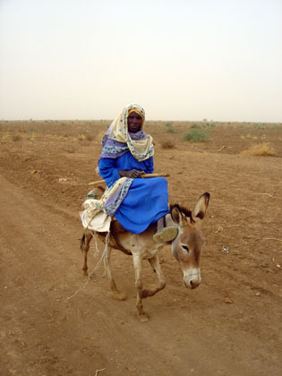 Femme sur la route, 2005. Dès qu’ils sortent des camps, les déplacés du Darfour courent le risque d’être attaqués. De nombreuses femmes ont été violées en allant chercher du bois ou de l’eau.(Photo : L. Correau / RFI)