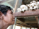 Près de deux millions de personnes ont trouvé la mort sous le régime de Pol Pot.(Photo : AFP)