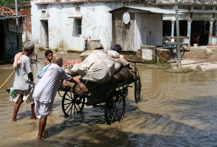 <strong>Dès la baisse des eaux, les villageois rentrent chez eux, à Singhia, après plusieurs jours passés dans des abris temporaires et le plus loin possible des inondations.<br /></strong>Mais la situation sanitaire reste inquiétante. 

		(Photo : Mouhssine Ennaïmi / RFI)