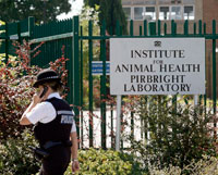 Les policiers gardent l'entrée de l'Institut de santé animale où une souche du virus a été retrouvée.(Photo : Reuters)