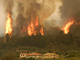 Incendies dans le sud des Péloponéses à 350 km d'Athènes. 

		(Photo : Reuters)