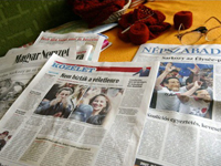 La presse hongroise avait salué l'élection de Nicolas Sarkozy, le 6 mai.( Photo : AFP )
