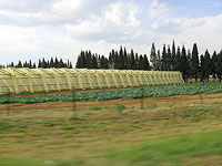 Ferme sur la route d'Harare.(Photo : Cyril Bensimon/RFI)