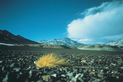 Désert d’Atacama, Chili © CNRS Photothèque - Jomelli Vincent