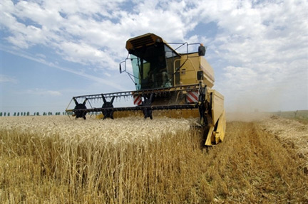 Un agriculteur moissonne son champ de blé, à Démouville (France).(Photo : AFP)