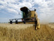 Bruxelles souhaite accélérer la réduction des aides directes aux agriculteurs. 

		(Photo : AFP)