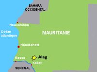 Un groupe de touristes français a été attaqué près d'Aleg, en Mauritanie.(Carte : RFI)