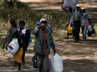 Des Kényans fuyant Naivasha, le 28 janvier 2008.( Photo : Reuters )