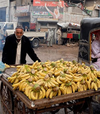 Un vendeur de bananes dans les rues de Karachi.(Photo : AFP)