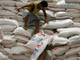Des travailleurs entreposant des sacs de riz à Manille, aux Philippines.(Photo : Reuters)