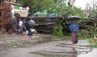 Un homme marchant dans le centre de Rangoon où un arbre a été déraciné par le typhon Nargis, le 3 Mai 2008.(Photo : Reuters)