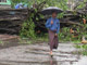 Un homme marchant dans le centre de Rangoon où un arbre a été déraciné par le typhon Nargis, le 3 Mai 2008.(Photo : Reuters)