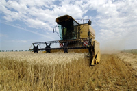 Bruxelles souhaite accélérer la réduction des aides directes aux agriculteurs.(Photo : AFP)