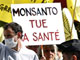 Manifestation anti-OGM devant l'Assemblée nationale le 13 mai 2008.(Photo : Reuters)