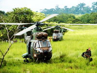 L'hélicoptère Puma du bataillon Licorne en Côte d'Ivoire.  

		(Photo: Claude Verlon / RFI)