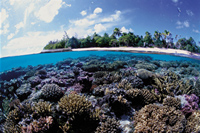 Tous les types de constructions coralliennes sont représentés en Polynésie française.© Claudes Rives/ Merimages