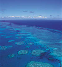 Le grand récif de Mayotte, long de 197 km, se concrétise au nord-est de l'île par une ceinture interne de pinacles et d'éperons coralliens de 800 à 1500 m de large.© Claudes Rives/ Merimages