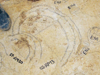 Gros plan sur l'empreinte d'une patte de sauropode(Photo : Dominique Raizon/ RFI)