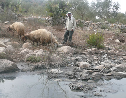 Berger palestinien, en Cisjordanie. De nombreuses sources d'eau sont polluées par le rejet des eaux usées.(Photo : Karim Lebhour/RFI)