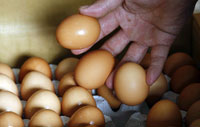Le 27&nbsp;octobre 2008, Hong Kong découvrait des traces de mélamine dans des œufs d’origine chinoise.(Photo : Reuters)