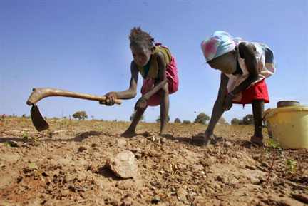 Des enfants sénégalais récoltent de l'arachide dans la région de Kaolack en 2007.(Photo: AFP)