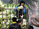 Une marchande de légumes sur le marché de Pékin, le 11 novembre 2008. L'inflation chinoise est tombée en octobre à son niveau le plus bas depuis 17 mois, passant de 8% à 4%.(Photo : Reuters)