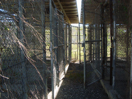 Camp X Ray, le premier camp de détention utilisé à Guantanamo pour les prisonniers capturés par les Etats-Unis. De janvier à avril 2002, ce camp a accueilli jusqu'à 300 détenus, le temps que les autres camps de détention soient construits.(Photo : Donaig Le Du/RFI)