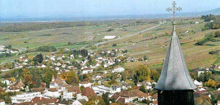 Vue générale de la petite cité d'Arbois et de ses vignobles
(Photo : Marc Verney/ RFI)