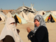 Deux femmes palestiniennes devant les tentes dressées près de leur maison détruite à Jabalya, dans le nord de la bande de Gaza, le 29 janvier 2009.( Photo : Reuters )