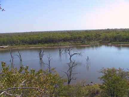 Les rivières du parc Kruger sont infectées par la bactérie du choléra.(Photo : www.sanparks.org)