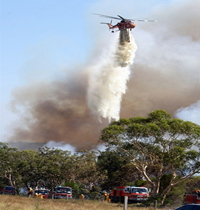 Trente mille pompiers sont mobilisés. Ici, des feux de broussailles à Peats Ridge, au nord de Sydney, le 8 février 2009. (Photo : AFP ) 