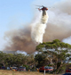 Trente mille pompiers sont mobilisés. Ici, des feux de broussailles à Peats Ridge, au nord de Sydney, le 8 février 2009. ( Photo : AFP )