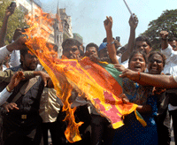 Des manifestants brûlent un drapeau sri-lankais lors d’une grève dans la ville de Chennai au sud de l’Inde, le 4&nbsp;février 2009.(Photo : Reuters)