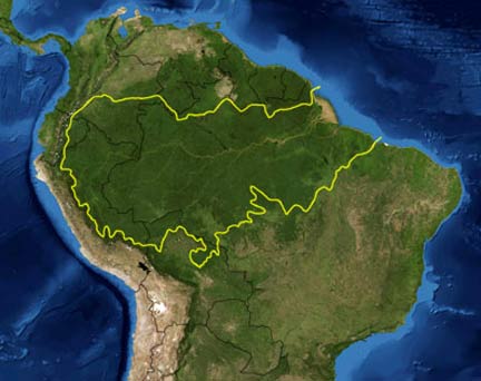 La forêt tropicale amazonienne. La ligne jaune indique la zone reconnue comme écorégion planétaire.© Nasa