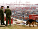 Deux agents de sécurité devant le port de Shanghai où sont stockés des conteneurs, le 8 mars 2009. (Photo : Reuters)
