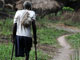 La LRA, dispersée en petites bandes, poursuivrait dans la forêt ses exactions, massacres, enlèvements, mutilations...( Photo : AFP )