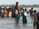 Plus de 35.000 civils ont fui la zone encore contrôlée par des rebelles tamouls au Sri Lanka.(Photo: Reuters)